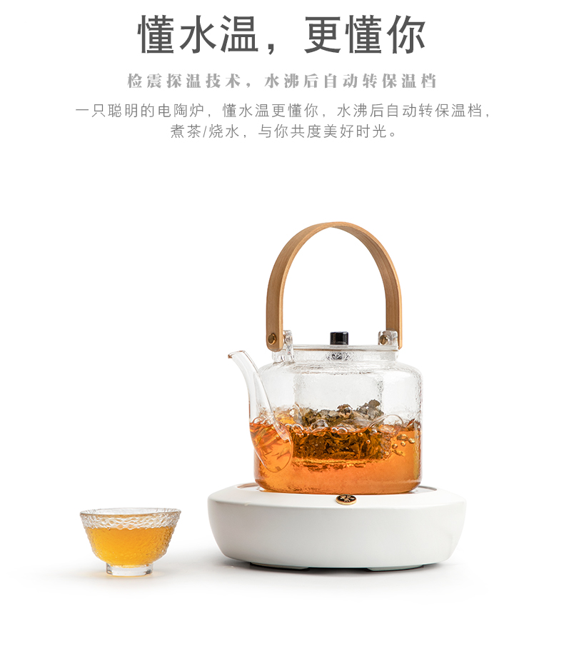 Mr Nan shan fault from TaoLu glass boiled tea machine suits for steaming kettle puer tea flower pot the teapot