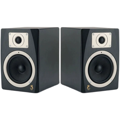 Подержанный оригинальный ESI Neal05 Experience Monitor Dower 5-дюймовый динамик Active Monitor