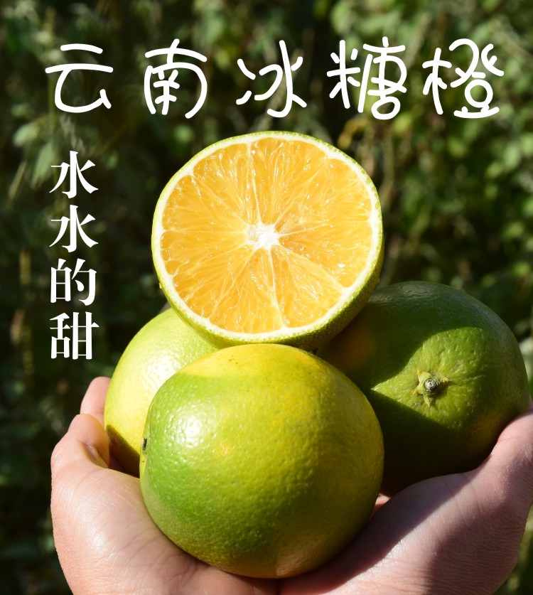 滇圣云南当季冰糖橙 带箱10斤 图1