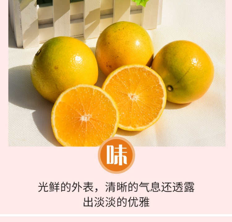 滇圣云南当季冰糖橙 带箱10斤 图6