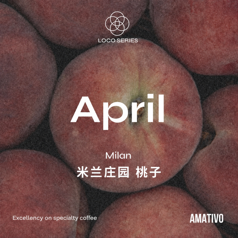 『Loco』Co166 Colombia Milan Peach 2024 Wbc World Third Place Winning Beans Coffee Green Beans
