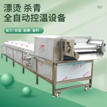 Dandelion yellow flower vegetable water-removal equipment mulberry leaf vegetable rafting and scalding machine bagged lotus root sheet processing line customized