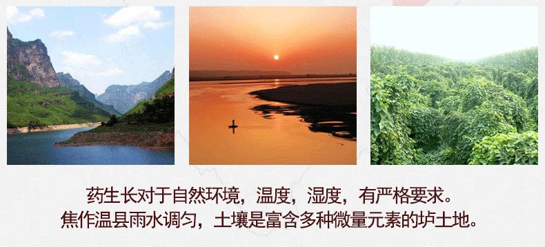 郑州正宗垆土地山药专卖店价格，铁棍山药团购，河南铁棍山药批发插图(7)