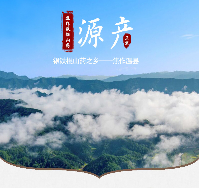 郑州正宗垆土地山药专卖店价格，铁棍山药团购，河南铁棍山药批发插图(1)