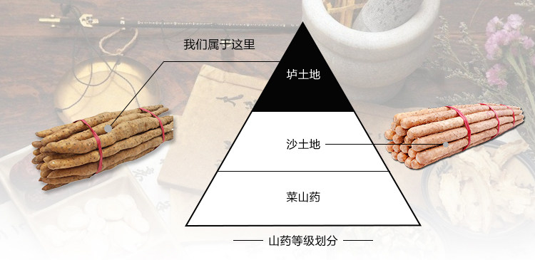 郑州正宗垆土地山药专卖店价格，铁棍山药团购，河南铁棍山药批发插图(5)