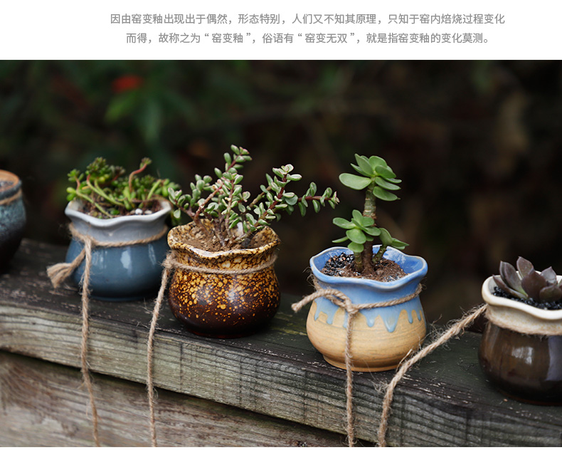 Platinum jade concise hanging rope fleshy money plant bracketplant hanging flower pot hanging POTS archaize ceramic creative move