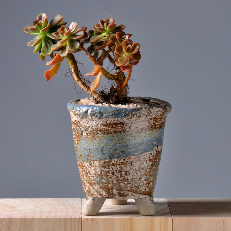 Meaty plant combination potted meat meat flowerpot suit breathable small basin exchanger with the ceramics creative move to restore ancient ways bag in the mail