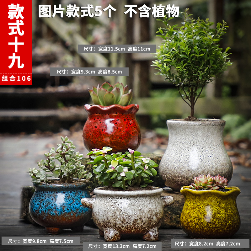 Style 19Fleshy flowerpot ceramics Special clearance Simplicity Coarse pottery ventilation indoor Large caliber Carnivorous plant originality Flowerpot