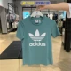 FM3300