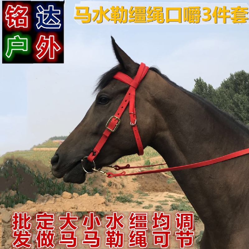 Water Reins Mouth Armature Horse ChewEr Head Full Harness Size Pony Cage Dragon Set Buy 10 Get 1 Free 1 Promotion