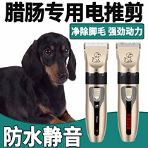 Sausage Special Electric Push Cut Pet Shave Woolen pooch Hair Instruments Professional Shave Hair Electric Pushers High Power Mute