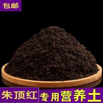 Zhu Dinghong special soil potted household nutrient soil Indoor balcony acidic mud carbon flower soil green plant planting fertilizer