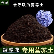 Hydrangea special soil Hydrangea soil potted household nutrient soil Acidic sandy soil Green planting soil fertilizer