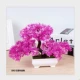 Cây mô phỏng cây nhỏ bonsai giả chậu trồng cây trong nhà phòng khách trong nhà cây xanh để bàn trang trí hoa đặt trang trí - Hoa nhân tạo / Cây / Trái cây