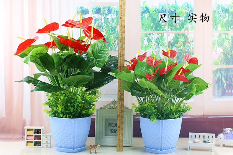 Mô phỏng hoa giả cỏ xanh cây anthurium hoa giả phòng khách trang trí cây xanh hạ cánh giả hoa chậu trồng cây cảnh - Hoa nhân tạo / Cây / Trái cây cây hoa anh đào giả