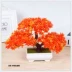 Cây mô phỏng cây nhỏ bonsai giả chậu trồng cây trong nhà phòng khách trong nhà cây xanh để bàn trang trí hoa đặt trang trí - Hoa nhân tạo / Cây / Trái cây Hoa nhân tạo / Cây / Trái cây