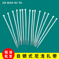 8*250mm self-locked nylon tie strap strap strap strap strap strap with fixed strip full 10
