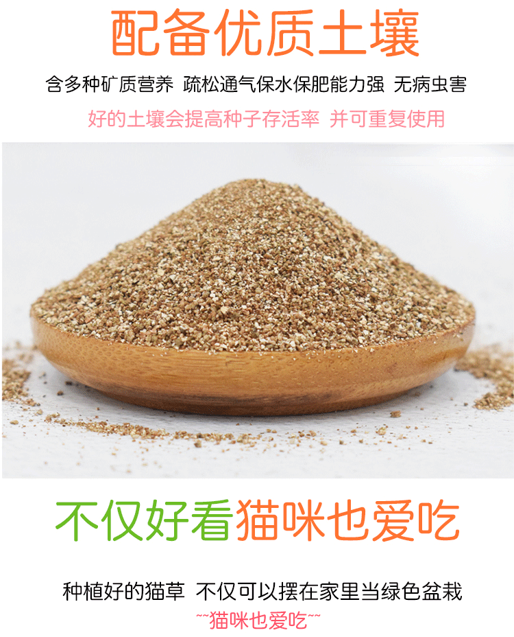 Mèo cỏ mèo ăn nhẹ mèo cỏ hạt giống mèo cỏ nồi đặt thức ăn để tóc bóng điều hòa dạ dày vật nuôi - Đồ ăn nhẹ cho mèo bánh mèo thần tài yaruna