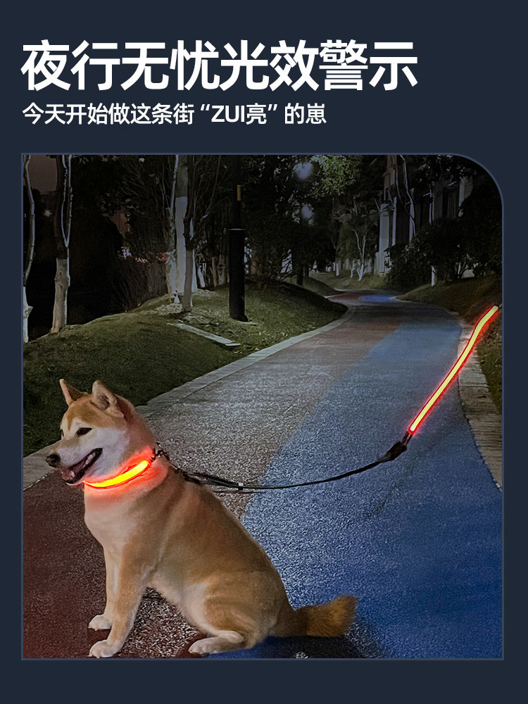 Dog Luminous Collar Pet Neck Ring Dog Walking Light Night Light Collar for Large, Medium, and Small Dogs Leash Rechargeable Adjustable