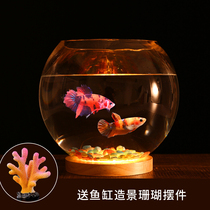 Creative living room small desktop fish tank glass round ultra-white heat with betta fish tank night light mini aquarium ornaments