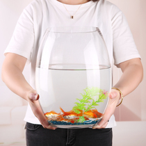 Fish tank Transparent glass creative cylindrical desktop ecological goldfish tank Large turtle tank Office household aquarium