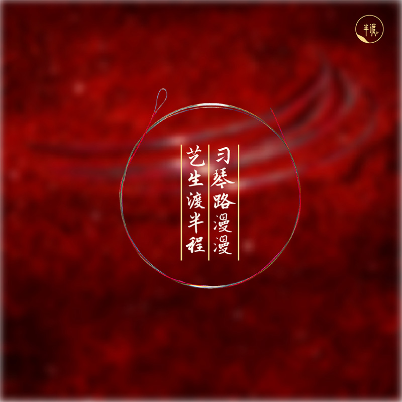 Half - Dou - Piwaqo string red string feel comfortable tone delicate touch smooth pitch string grade playing