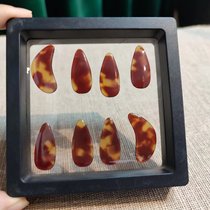 Guikite specialized nails rocking fingers to play the exam practice