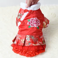 Костюм Peony Tang Cat применяется