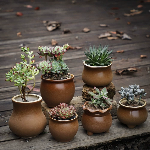 Платиновая нефритовая полинут горшок грубая керамика Anergue Family Ретро -зеленый растение мякоть с большим диаметром крупно -диаметров.