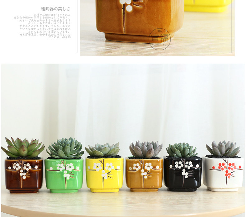 宣福日式和风多肉花盆陶瓷多肉植物花盆宜家花盆肉肉植物小花盆 盛江名瓷在线