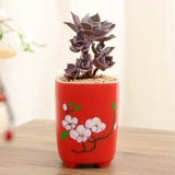 宣福 Корейский креативный керамический классический цветочный горшок, ручная роспись