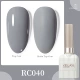 RC040
