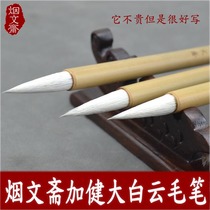 Jiajian large small and medium Baiyun brush watercolor painting pen Chinese painting and Wolf big case wholesale pure sheep calligrapher dedicated