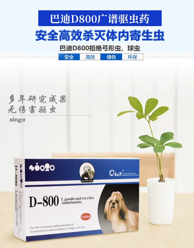 Mỹ Buddy D800 Oka Okar tẩy giun chó mèo coccidiosis toxoplasma thuốc trừ sâu đẫm máu Teddy - Cat / Dog Medical Supplies