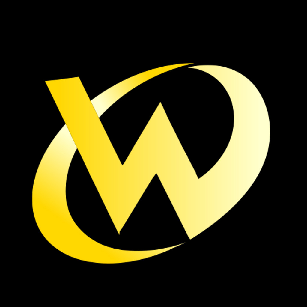 厦门W手工吉他的LOGO