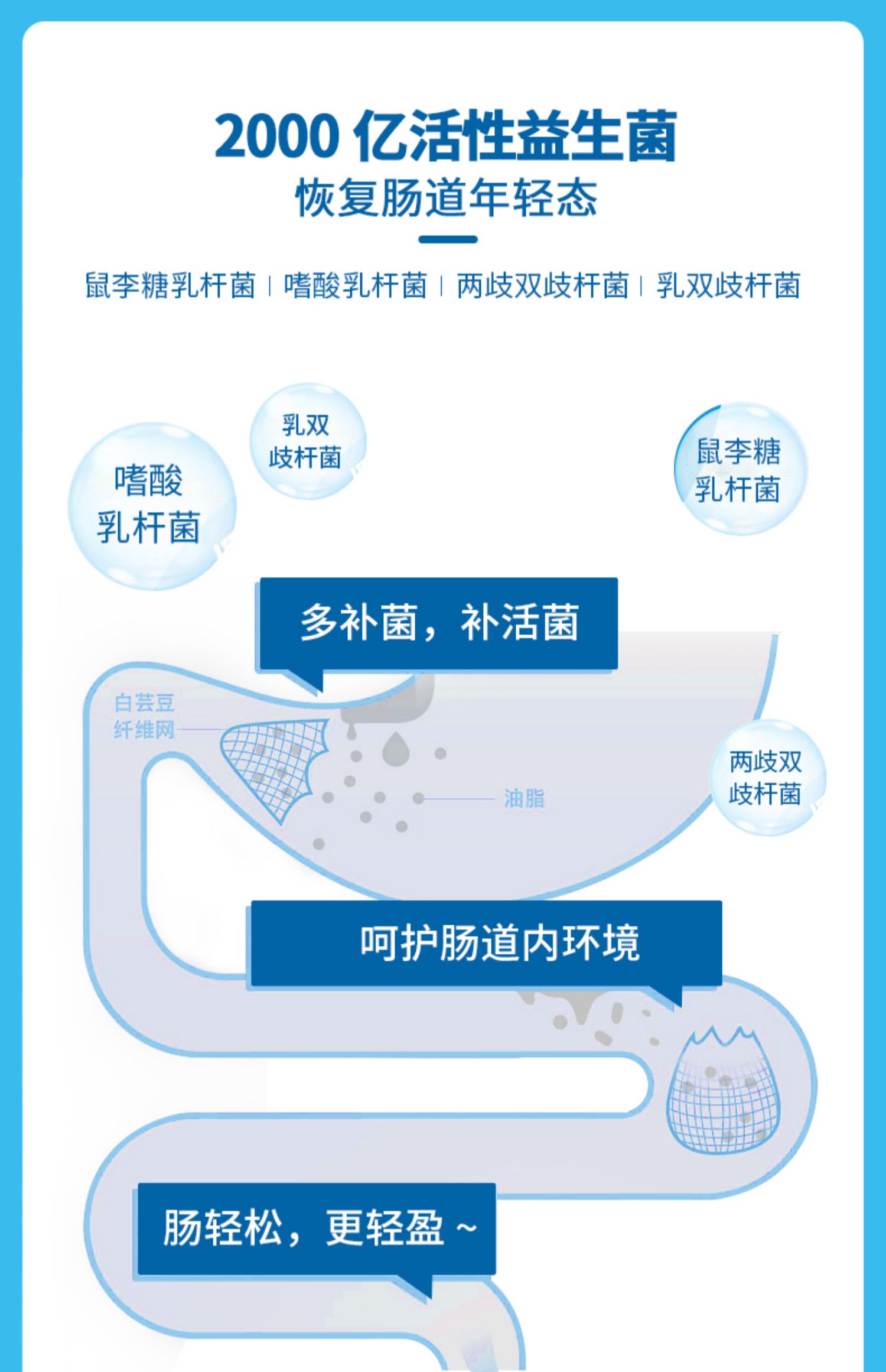 5张券【仁和】益生菌白芸豆阻断抗糖20粒