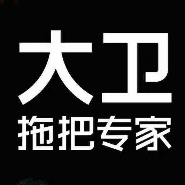 大卫臻选清洁用品的LOGO