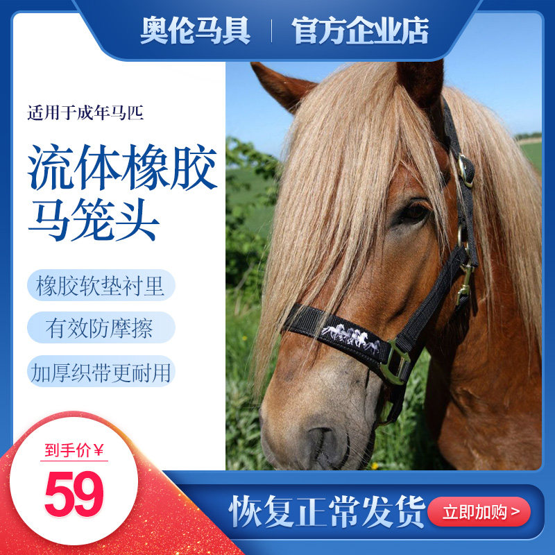Horsehead fluid Rubber Horse Head Dragon Horse horse equipment