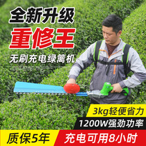 Rechargeable Brushless Repair Green Hedge Machine Lithium Electric Tea Machine Tea Tea Tree Trimming Machine Coarse Sphere Tree Trimmer