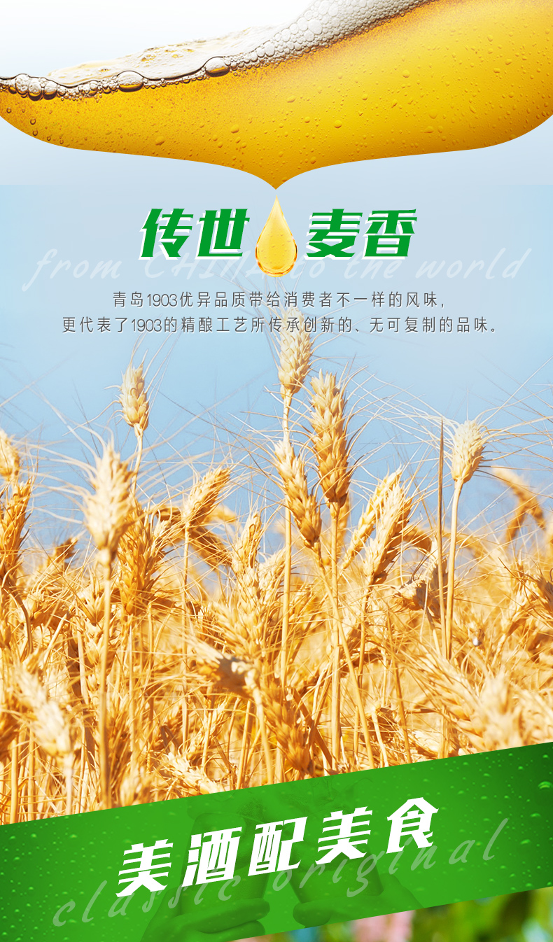 青岛啤酒 1903精酿金罐 18听 图10