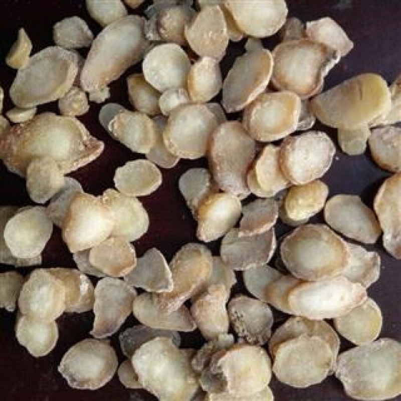 High-quality Chinese herbal medicine ginger water pinellia ginger broiled water pinellia quality assurance 500g