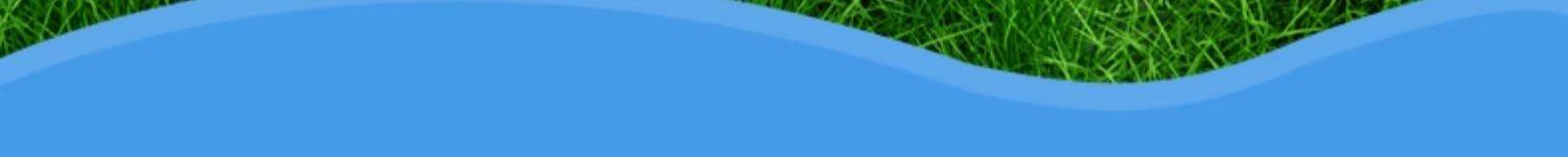 香港大藥房 蒼耳子鼻舒貼 10貼/盒 草本植物萃取 鼻康貼 舒緩鼻子不適 緩解鼻塞鼻幹 幫助睡眠