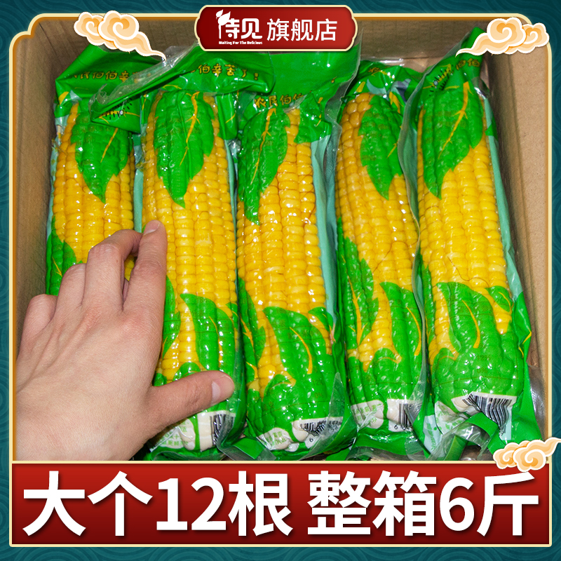 (12 sticks)Yellow corn glutinous corn Fresh sweet glutinous vacuum bag sticky bracts Whole grain Breakfast half cooked