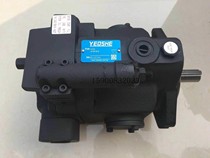 Taiwan V-type plunger pump V38A1R10X V38A2R10X V38A3R10X V38A4R10X