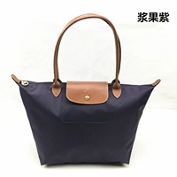 Классические большие длинные ягоды фиолетовой фиолетовый фиолетовый