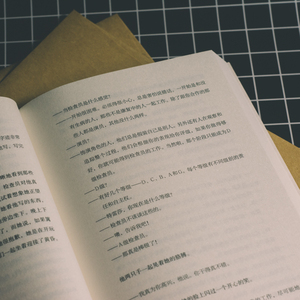 自杀式疗愈 [美]杰西·鲍尔 著 沈慧 译 现代/当代文学文学 新华书店正版图书籍 中信出版集团股份有限公司