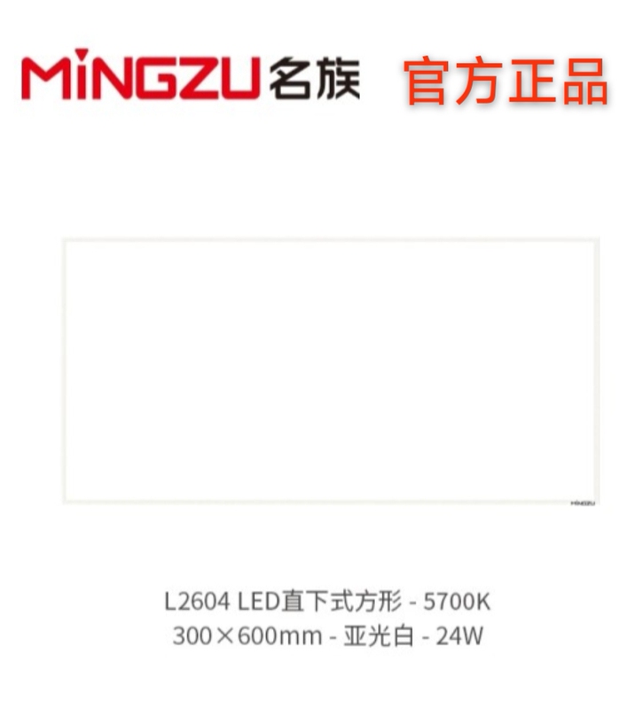 Mingzhu L2604_300*600 Flat Panel Light Led Kitchen Bathroom Light Embedded Aluminum Gusset Light