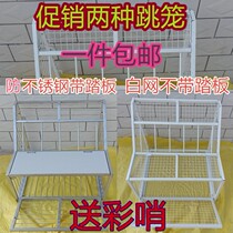 Letter Dove Supplies Utensil Dove Jumping Cage Into Door Collision Door Pigeons Into Doorway Racing Pigeon Racing Pigeon Jumping Cage Pigeon Jumping Cage
