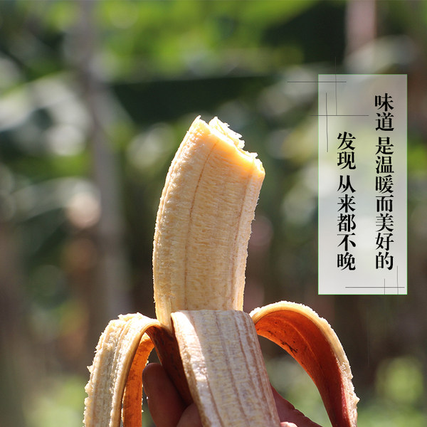 福建土楼特产 欢森 红皮香蕉 5斤 优惠券折后￥27.8包邮（￥37.8-10）