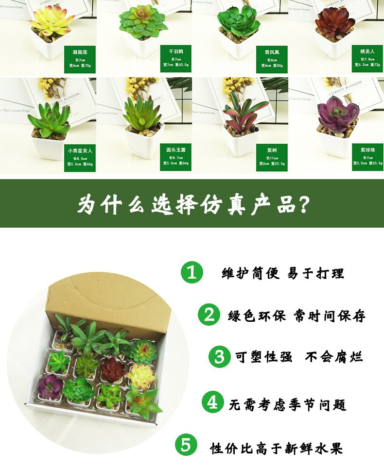 Mô phỏng cây trang trí cây xanh trong nhà chậu trong phòng khách trang trí nội thất hoa giả thịt nhỏ cây cảnh nội thất nhà - Hoa nhân tạo / Cây / Trái cây cây hoa mai giả